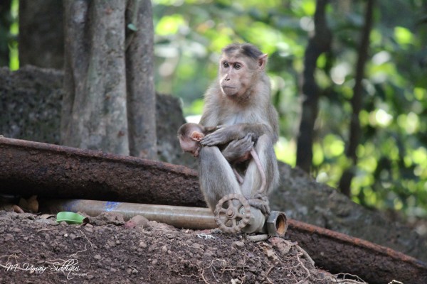 You’ll outgrow my lap, but never my heart.