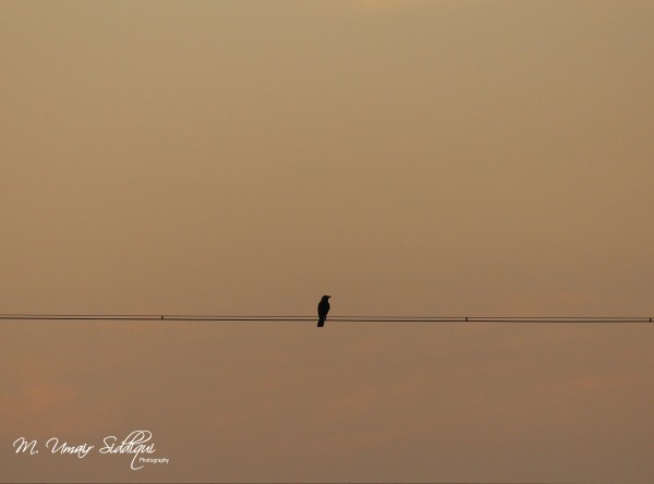 It is far better to be alone, than to be in bad company. (George Washington)