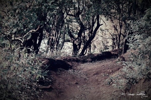 And I took the road less traveled by, and that has made all the difference. (Robert Frost)