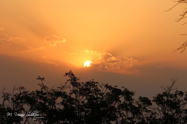 If you want to shine like a sun, first burn like a sun. (A. P. J. Abdul Kalam)