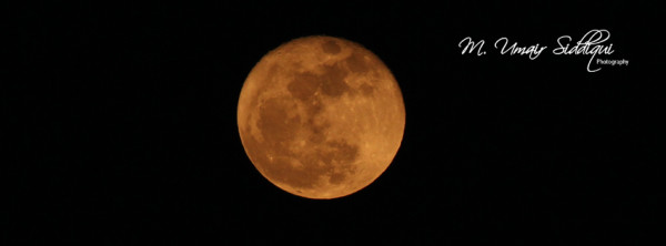 There are nights when the wolves are silent and only the moon howls. (George Carlin)