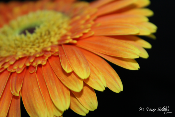 There is no such thing in anyone’s life as an unimportant day. (Alexander Woolcott)