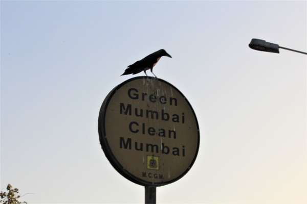 Crowing about it doesn’t help, take Action!!!