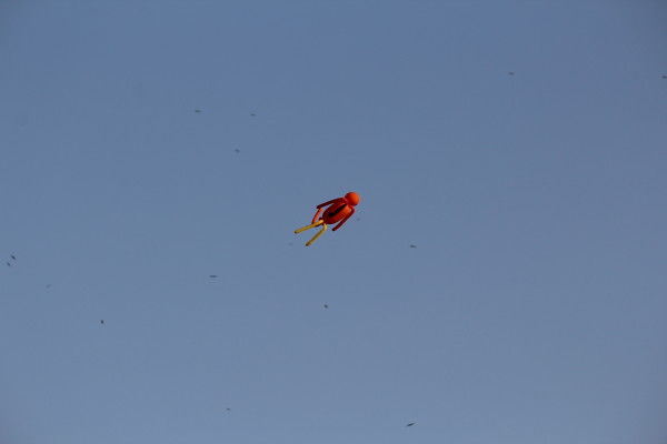 I Believe I Can Flyyy!!!